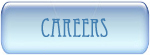 Careers Silicon Staffing